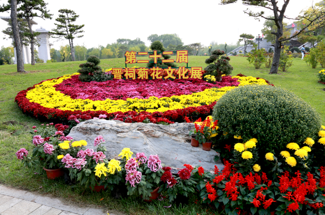 太原一年一度菊花展谁还没看？花团锦簇，韵味无穷，美到窒息！