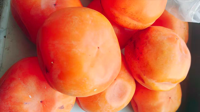 无需去公园，请随着我进山看风景吧