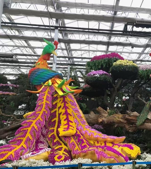 原来真的有城市，可以一天24小时都快乐~（2）