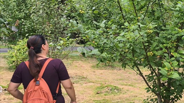 摩旅夫妻的在路上：从晴空万里到暴雨倾盆，我们在山水间读懂彼此