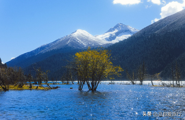 西藏林芝深度游：邂逅雪山桃花与森林的浪漫