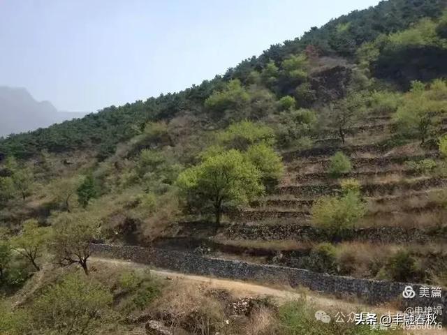 邂逅蒲洼,遇见京西的诗意与远方| 申艳娟