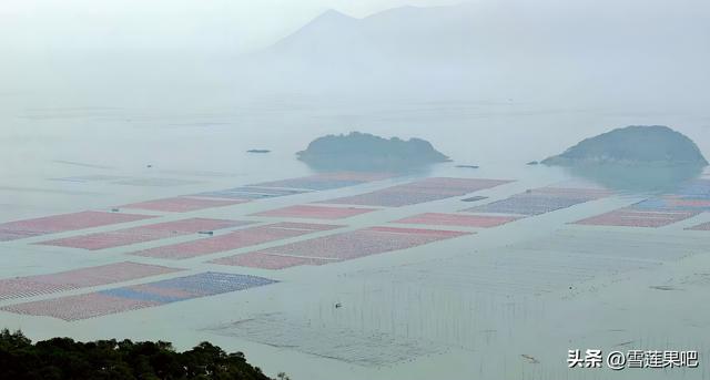 水墨国画，诗意霞浦