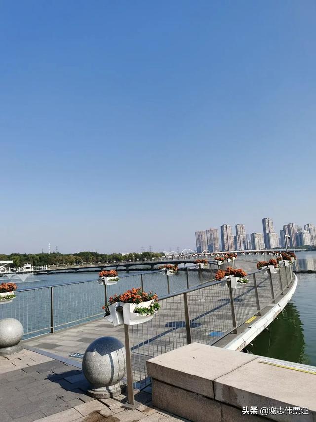 借会见邻居之机，再游金鸡湖