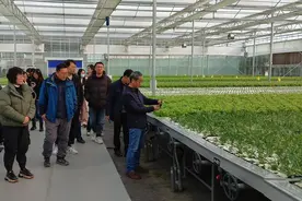 苏州举办智慧农业研讨会图片