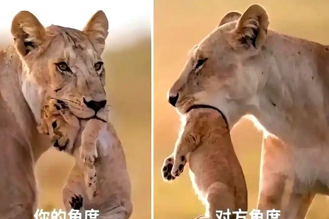 心理学家：请远离身边那些	，打扮很干净的人