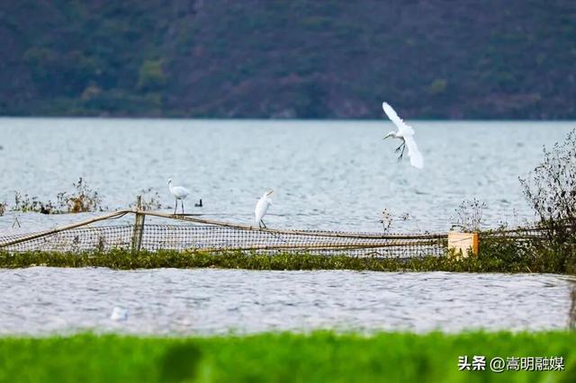 旅居云南·入昆第一站丨嵩明旅居缘何双双“上榜”？