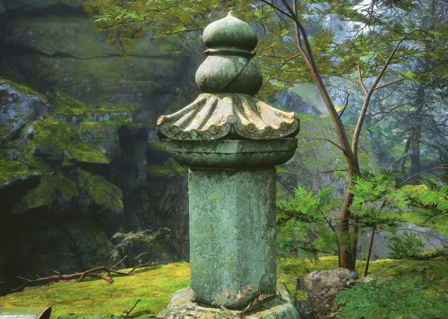 天目山秘境觉醒！用镜头解锁“大树王国”的N种打开方式