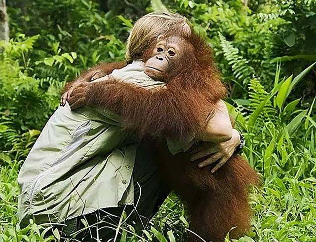 被锁暗室6年：剃毛穿丝袜当玩物，惨状撕开人类伪善面具