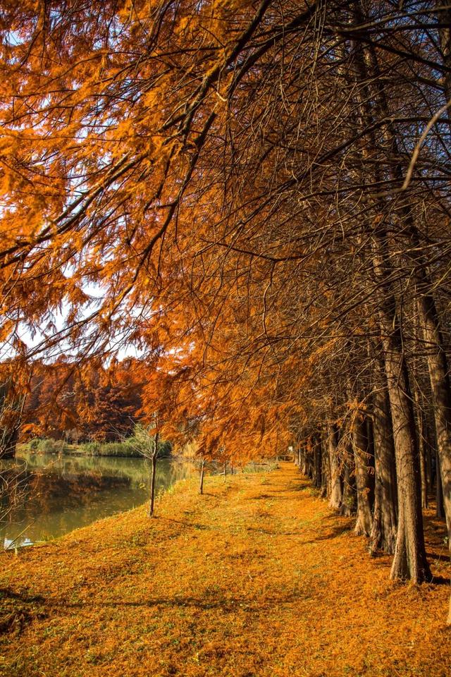 扬州冬始，园林私语