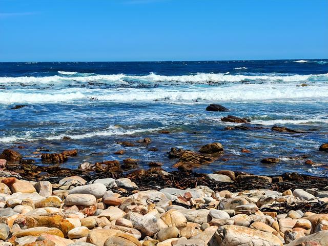 非洲旅游：难忘南非观光之旅纪行（图）