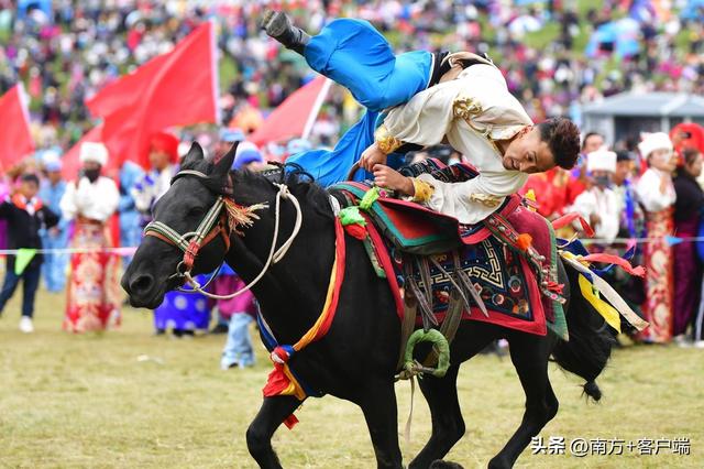 共赴《敕勒歌》里的盛夏，当一回“草原小记者”，南方日报小记者团招募