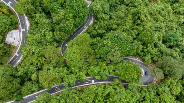 “冬养罗浮”康养品牌发布！在引领区过冬是怎样一种体验？