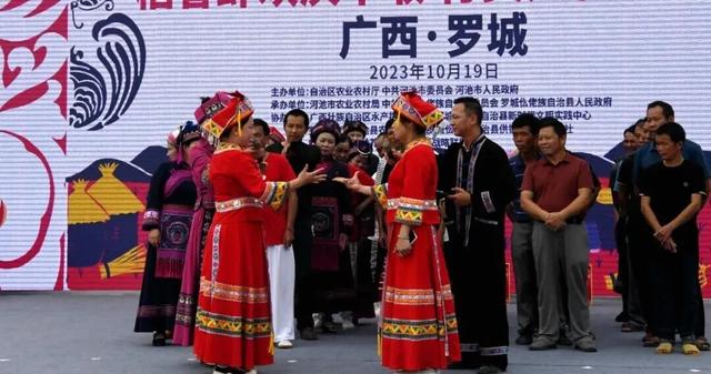 仫佬族最盛大的节日！广西罗城邀你这个周末来过依饭节咯~