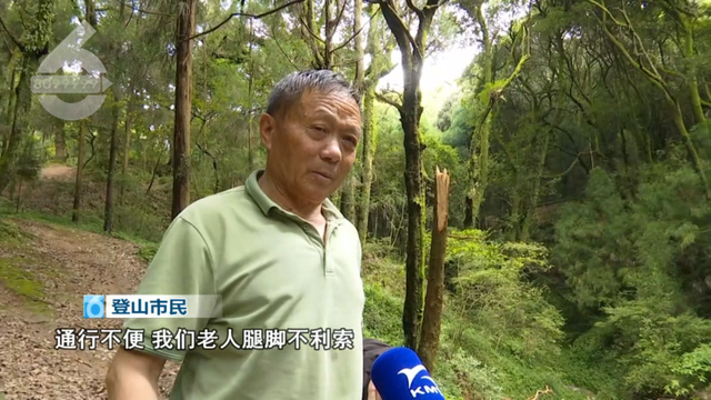 雨后大树 “躺平” 堵路，郊野公园 “外援”上线