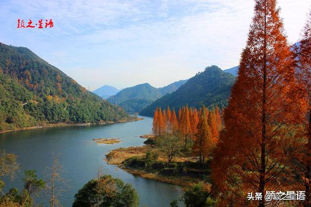 走过这条公路吗？宁波最美秋色路，又到绚烂时