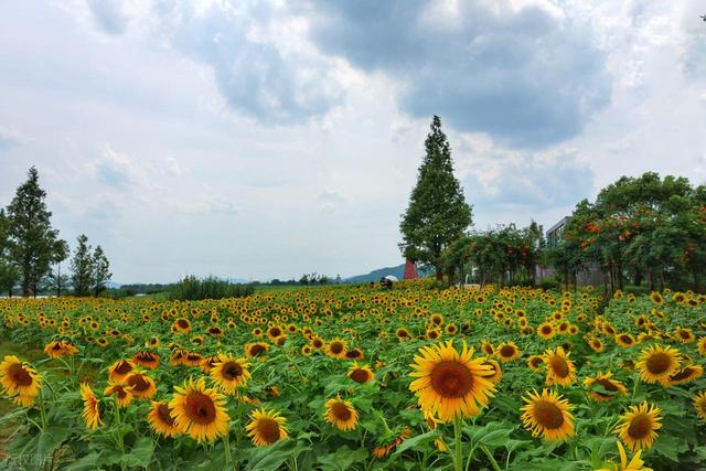 🌡️35℃逃到 23℃！5 个家庭自驾秘境，娃疯玩爸妈躺平