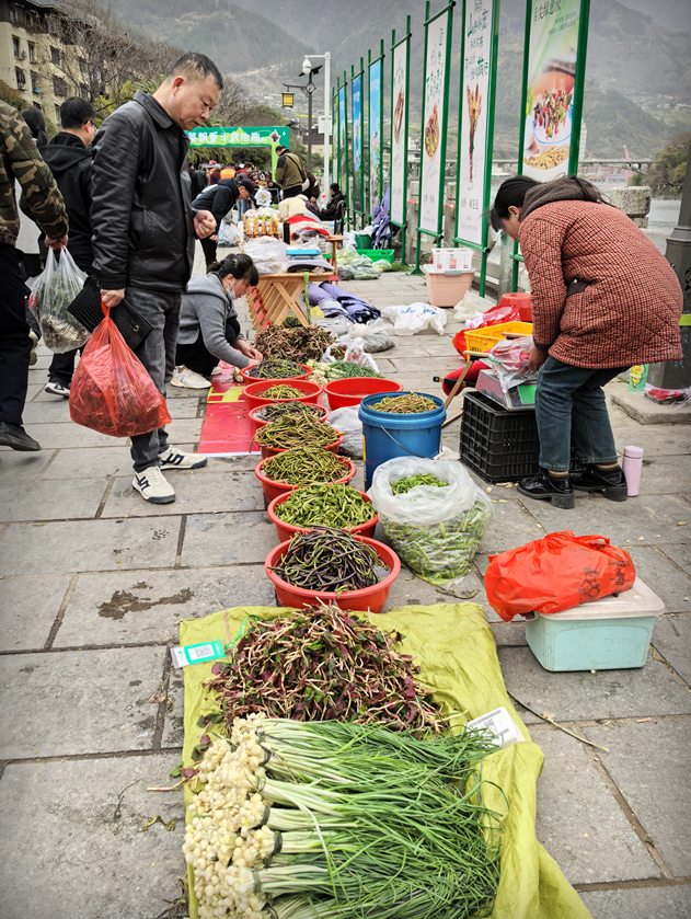 青睐绵阳 || 这个春天，来平武赴一场Color Walk