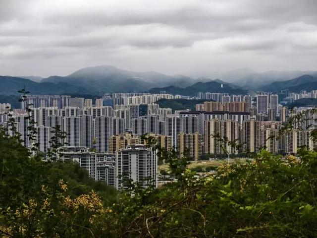 临安最香的桂花，在大梁山上