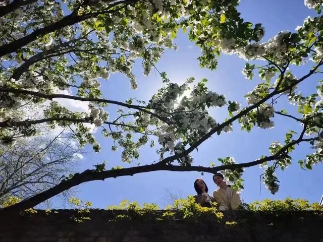 斩获双奖！东城“微风露台”火出圈→