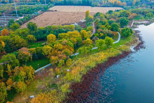 晚霞映照下的宁阳洸河湿地公园