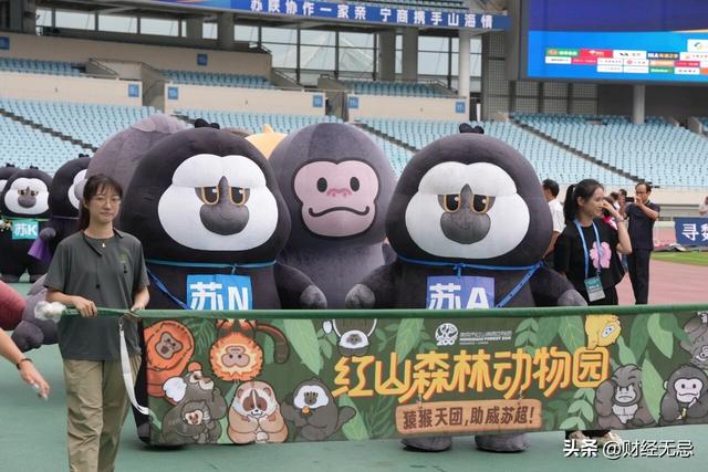 南哥“文旅天团”背后，是一座城市被苏超激活的“创新磁场”