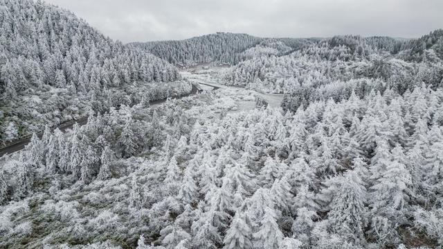 【雄奇山水 冬韵武隆】冰雪奇缘·南国雪国童话