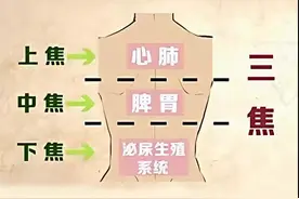 中焦不通，百病生，世人都说小柴胡好，但我独爱四君子！图片