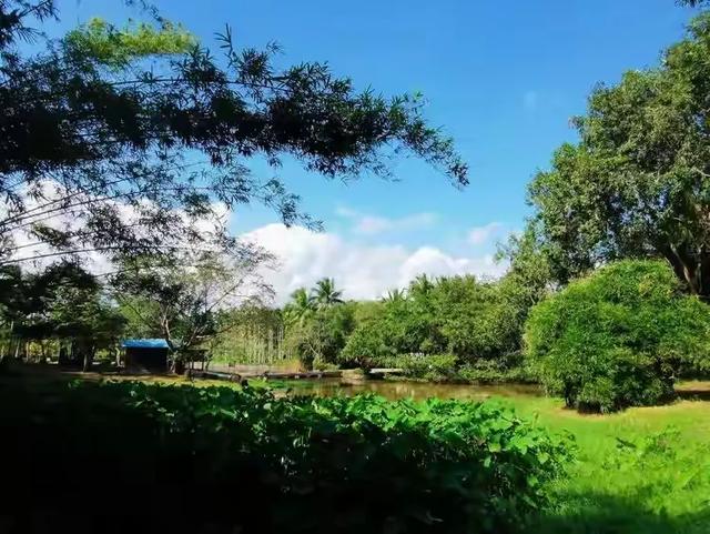 带着孙女去旅行（152）琼海红色娘子军纪念园游