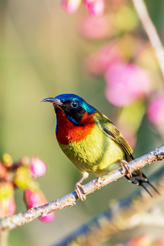 快来抱抱~ | Welcome to 疯狂·武夷山·动物城