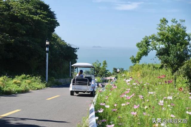辞家千里又千里，最想念嵊泗的……
