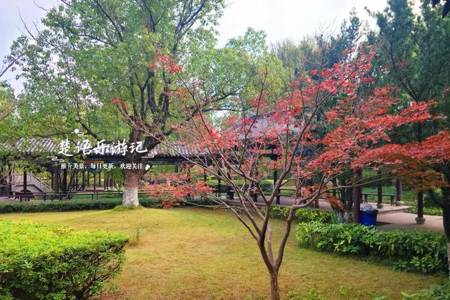 浙江宁波这处风景果然没让人失望，园林风情意境清幽，红枫更优美