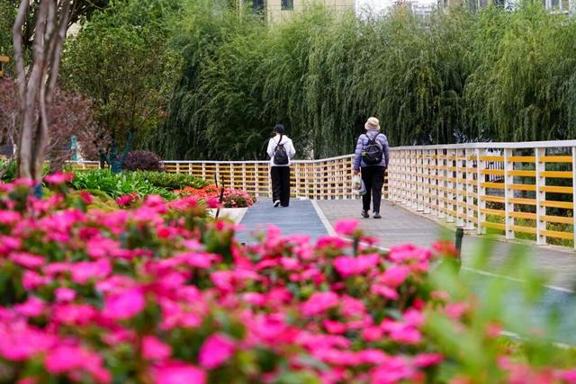 大理，更绿更美了