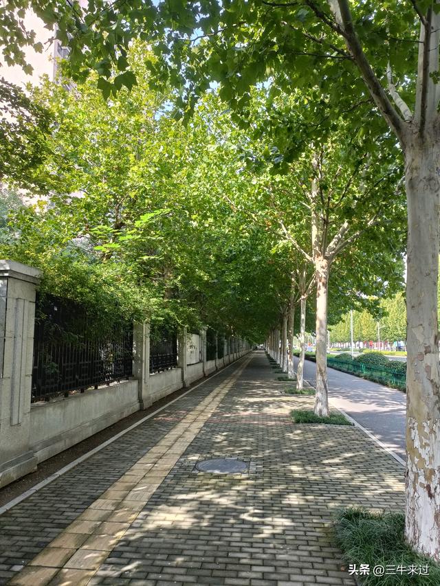 无为在歧路，国庆游淄博1