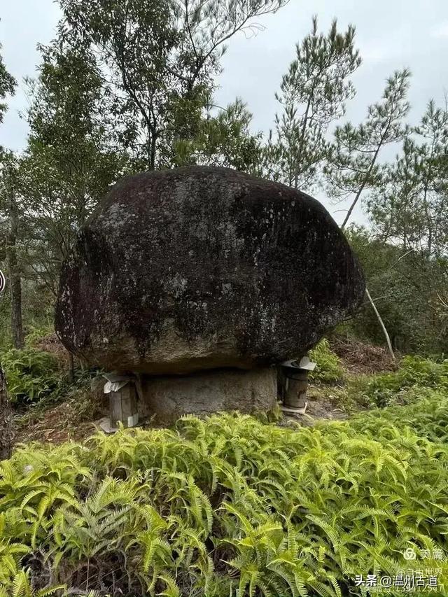 一步一景，奇石不断！温州这处奇石纷呈的的免费景区你可去过？