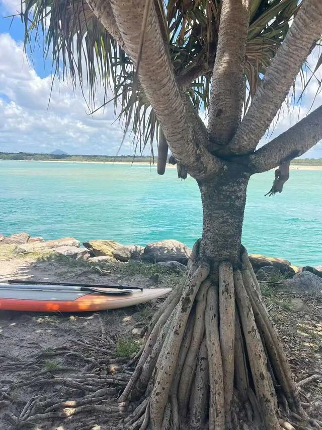 路上·布里斯班 ‖ 又出来赚小时来了