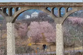 郑州二七区樱桃沟花开成海图片