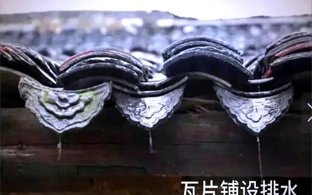 北京暴雨，故宫再现“千龙吐水”壮观景象，其有何特殊设计原理？