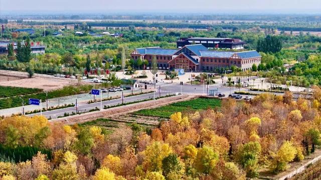 塞上江南 颐养宁夏丨中卫篇：品味杞乡风情，体验沙水相依的颐养之旅