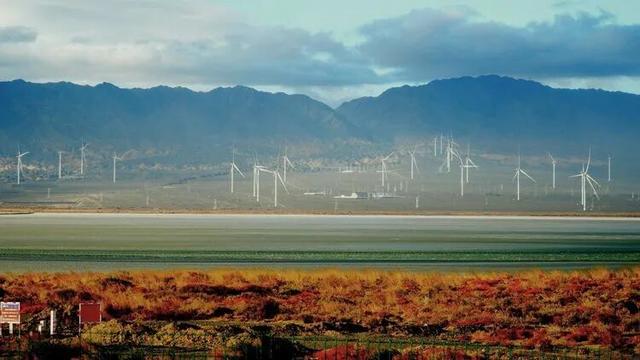 邢强 | 秋游南疆