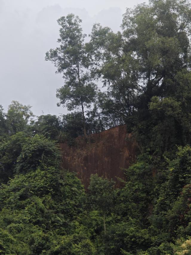 西丽湖国际科教城绿道高清随拍
