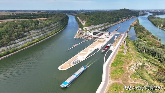 一张旧船票，从基隆到厦门，载着半个世纪沉甸甸的乡愁