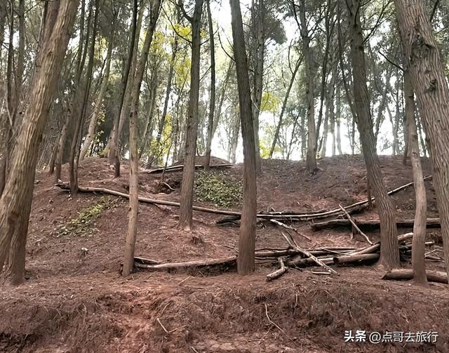 成都龙泉山爆红徒步路线，享受超级梭梭板，大人小孩都喜欢！