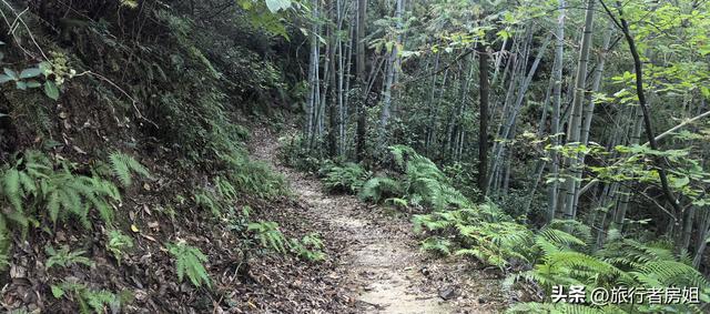 一条古道从浙江到安徽，全程经过三个古村落