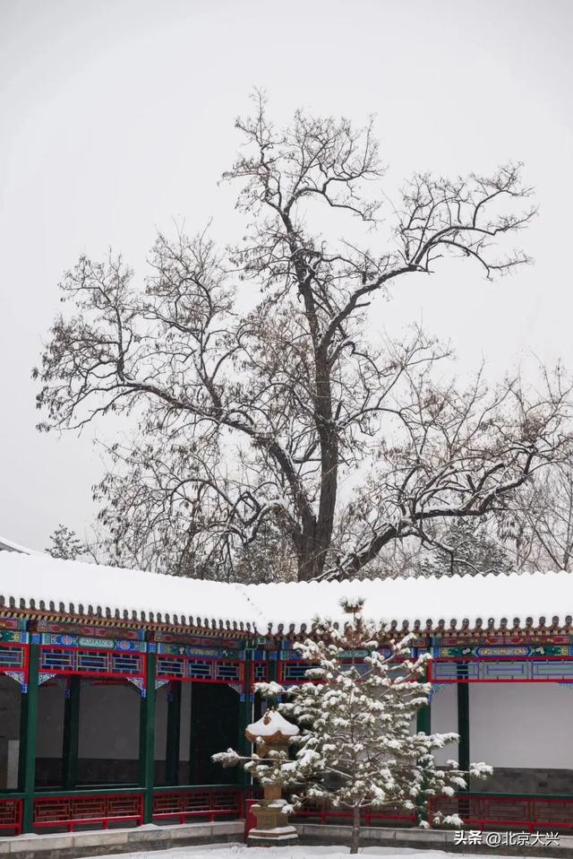 大兴初雪倒计时！5个宝藏赏雪点位，提前收藏——