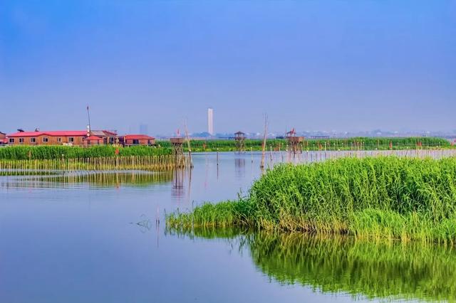 服务区变景区？江苏出招了，全国旅客都抢着来“上厕所”