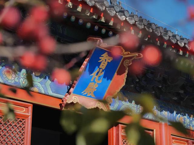 七大类百项活动！元旦来东城，解锁新玩法→