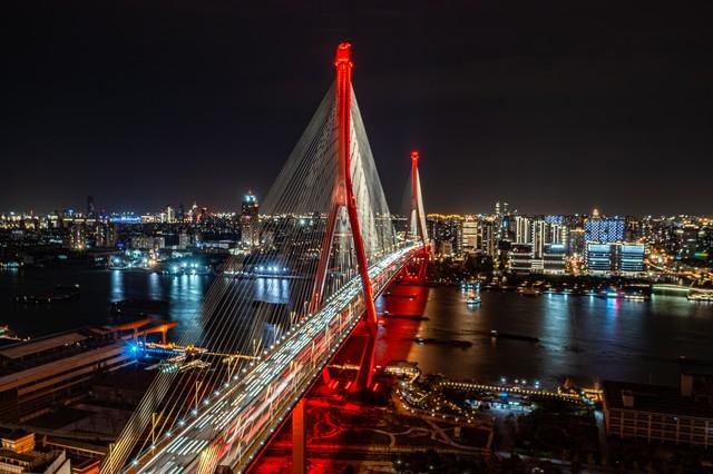 大连天价松40元一斤变一两