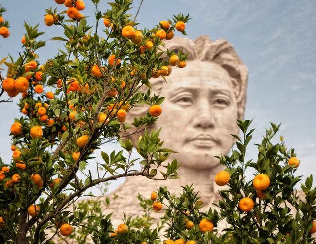 橘子洲，又见橘红染湘江