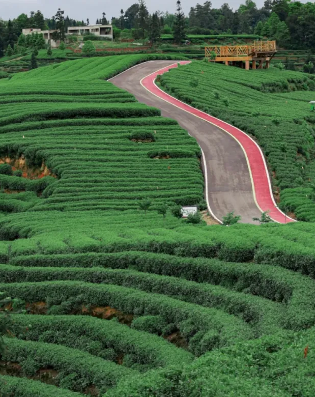 “秋假”开耍！带着小宝来雅安准没错！